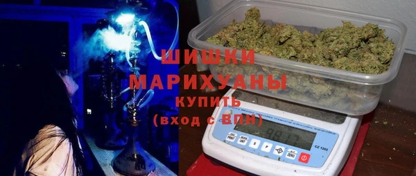 шишки Балахна